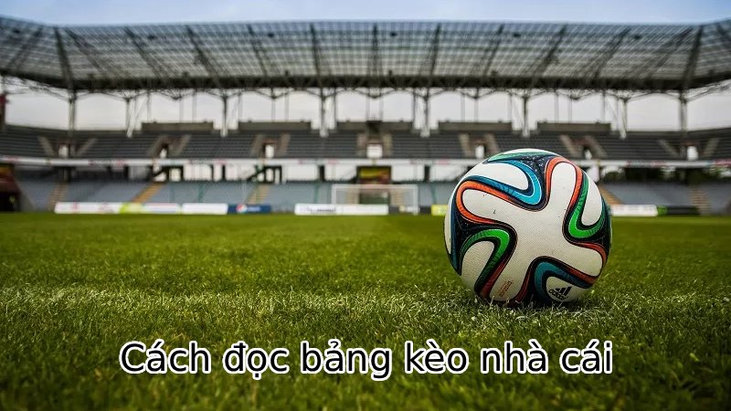 Cách đọc bảng kèo nhà cái cho người mới bắt đầu