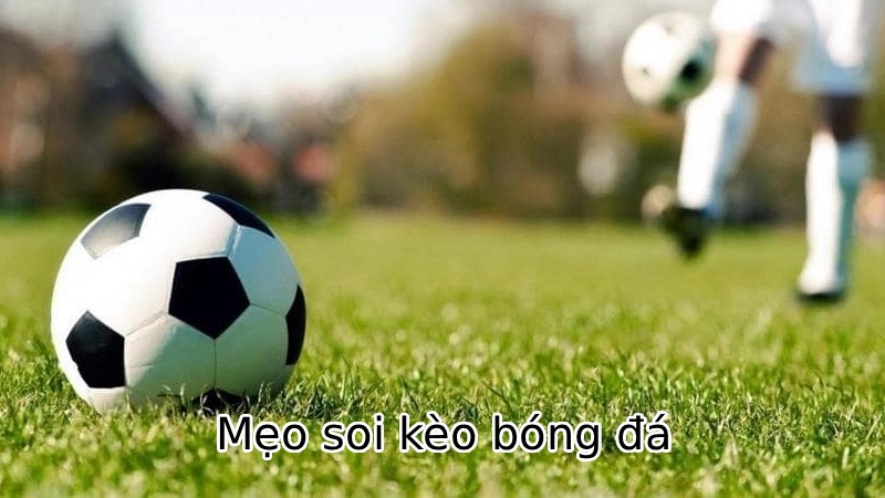 Mẹo soi kèo bóng đá hiệu quả với kèo nhà cái